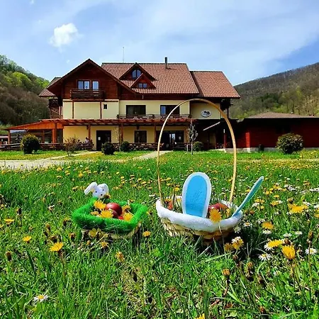Pensiunea Casiana 3*